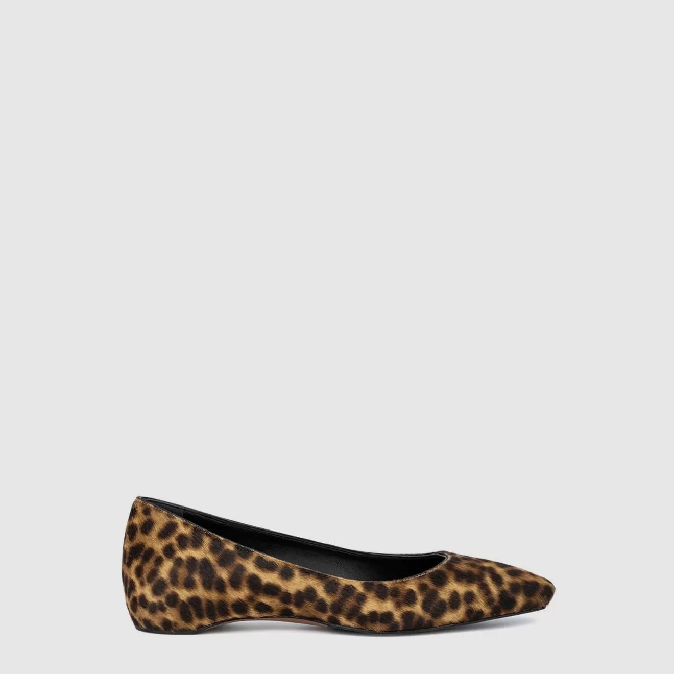 Women Aquatalia Flats | Marcella Brown